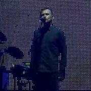 Дельфин Чужой KUBANA 2012