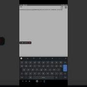 Firemonkey Tmemo Bug