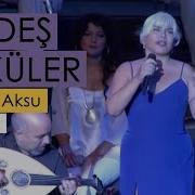 Kardeş Türküler Sezen Aksu Vazgeçtim Yeni Bir Gün 2011 BGST Records