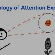 Psychology Of Attention Explained Selective Attention Inattentional Blindness Change Blindness