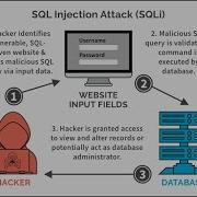 Seedlab Assignment SQL Injection