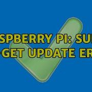 Raspberry Pi Sudo Apt Get Update Error