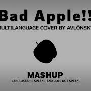 Avlönskt S Bad Apple Multilanguage Mashup Languages He Speaks And Doesn T Speak