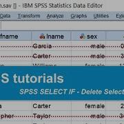 SPSS SELECT IF Delete Selection Of Cases