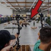 MASSIVE Indoor 3D Range SHOOTOFF Hit Or Miss Archery