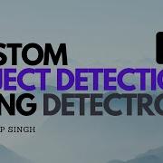 2 Train Custom Object Detection Model Using Detectron 2