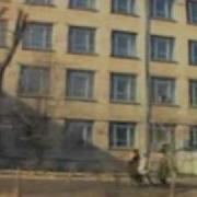 Водила шофёр