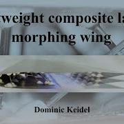 Morphing Wing Concept Relying On A Composite Lattice Structure