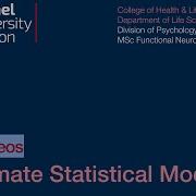 SPM Tutorial 08 Estimate Statistical Model
