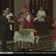 It Was A Virtual Palm Sunday For Many