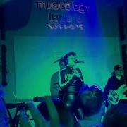 KNOWER It Will Get Real Live BitefArtCafe Beograd 17 10 2025