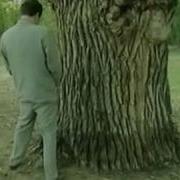 Borat Paying Respect To The Oldest Tree In US A