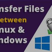 Как перенести файлы из Linux в Windows Настройка WinSCP SFTP