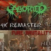 ABORTED Ophiolatry On A Hemocite Platter Live Hellfest 2009 4K Brutal Remaster