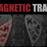 FireVoxel Tutorial 8 Introduction To Magnetic Trace Tool