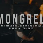 197 Media Mongrel 02 17 2023