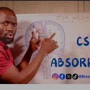 How The Level Of Fluid CSF In The Brain Is Maintained At Any Given Time CSF ABSORPTION