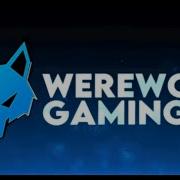 Skinbox Presets Werewolf Gaming Co Update
