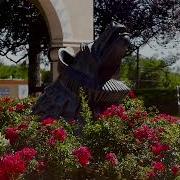 Chi Omega Recruitment Video 2022