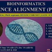 Sequence Alignment Explained Local Vs Global Alignment Dot Matrix Plot Bioinformatics Ai