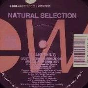 Natural Selection Do Anything Justin Strauss Remix