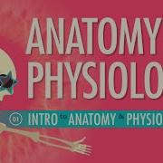 Introduction To Anatomy Physiology Crash Course Anatomy Physiology 1