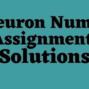 INeuron Numpy Assignment Solution Data Science