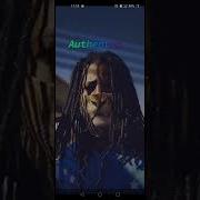 Rick Ross Pirates Slowed