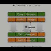 Genetic Algorithm Part 1