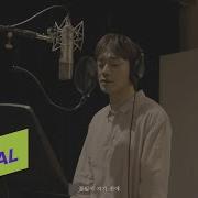 MV CHEN 첸 Before The Petals Fall 꽃잎이 지기 전에