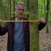 Deriving Tree Density From Angle Count Sample