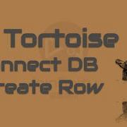 Connect Database With TortoiseORM And Insert Data To Database Database ORM Framework Of Python