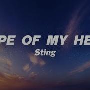 Sting Shape Of My Heart Lyrics