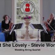 Isn T She Lovely Stevie Wonder Wedding String Quartet