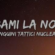 Pinguini Tattici Nucleari Rubami La Notte Testo Lyrics