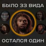 Вся эволюция человека за 20 минут