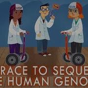 The Race To Sequence The Human Genome Tien Nguyen