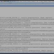 How To Make A Phylogenetic Tree