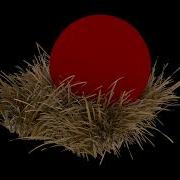 Grass Collision Test Arnold Render