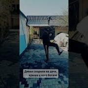 Девки спорили на даче