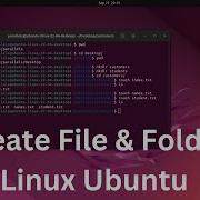 Как создать папку и файл в Linux с помощью терминала Ubuntu 2022