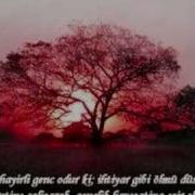 Grup Hacegan Gonul