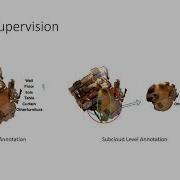Multi Path Region Mining For Weakly Supervised 3D Semantic Segmentation On Point Clouds