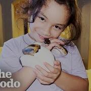Ball Python Just Wants To Be With His Human Sister The Dodo