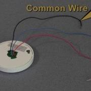 Pass Seymour RF Plug Load