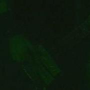 High On Fire Blood From Zion Live PROSHOT