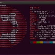 Linux Command Line Part 1 BASIC CLI TECHTICAL TUTORIALS