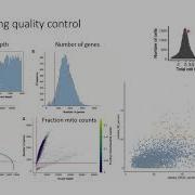 W20 Single Cell RNA Seq Analysis With Python Day 1