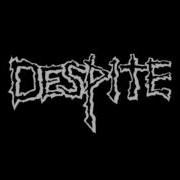 Despite Divided