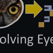 Evolution Of Eyes And Brains The Life Engine
